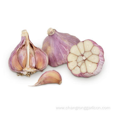 Natural Fresh Red Garlic Vegetables Price